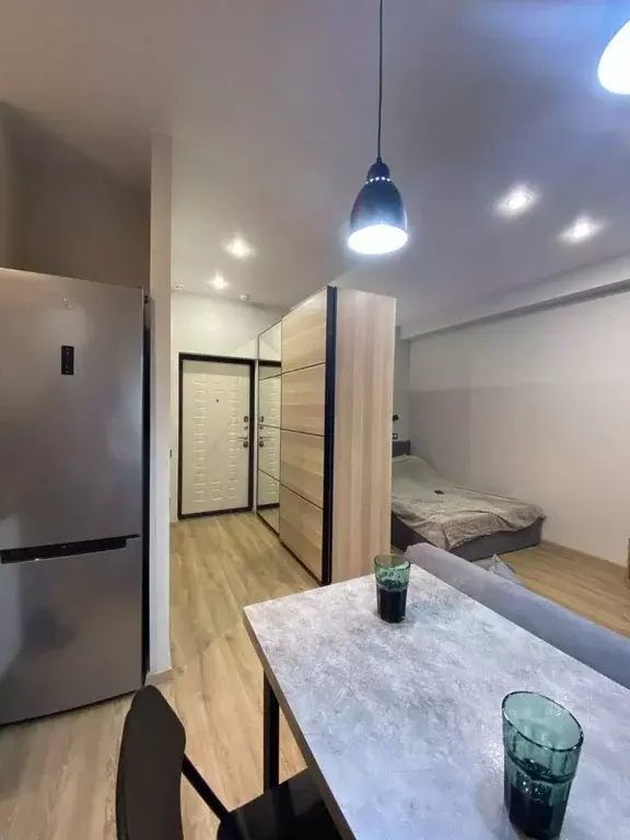 Студия Краснодарский край, Сочи городской округ, Дагомыс пгт ул. ... - Фото 2