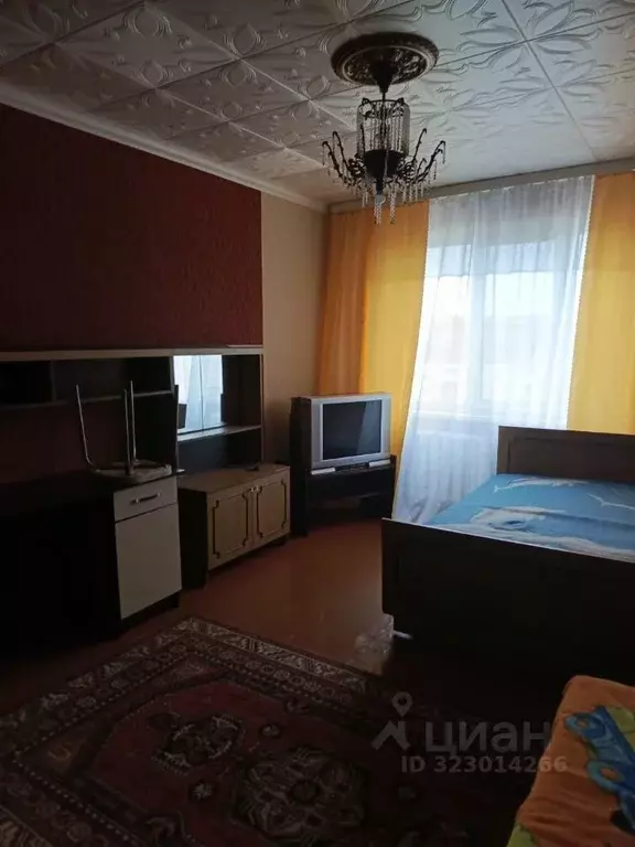 2-к кв. Рязанская область, Скопин АЗМР мкр, 27 (63.0 м) - Фото 2