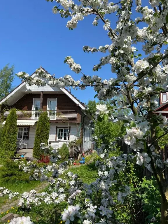 Дом в Санкт-Петербург, Санкт-Петербург, Сестрорецк Разлив СНТ, дорожка ... - Фото 1