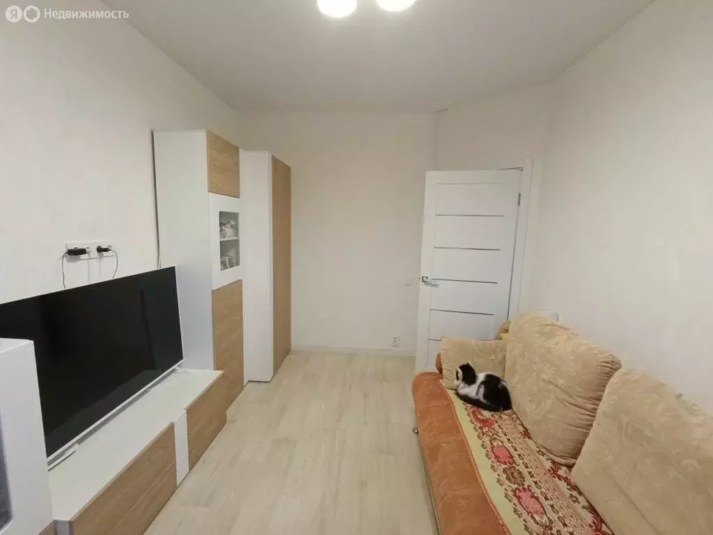 2-комнатная квартира: Нижний Новгород, проспект Ленина, 77 (41 м) - Фото 1