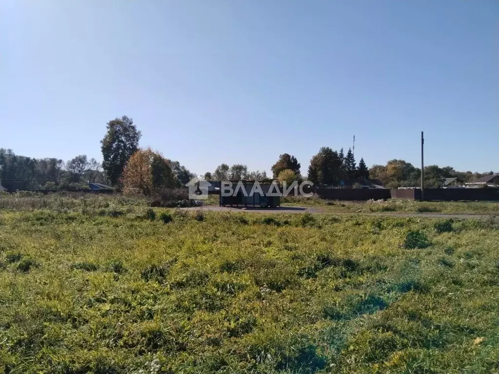 Участок в Московская область, Зарайск муниципальный округ, д. Летуново ... - Фото 2