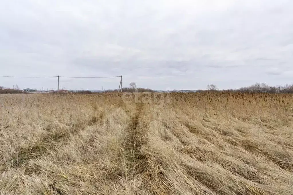 Участок в Татарстан, Тукаевский район, Новотроицкое с/пос, Энтузиаст ... - Фото 1