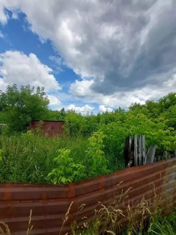 Участок в Нижегородская область, Володарский муниципальный округ, д. ... - Фото 2