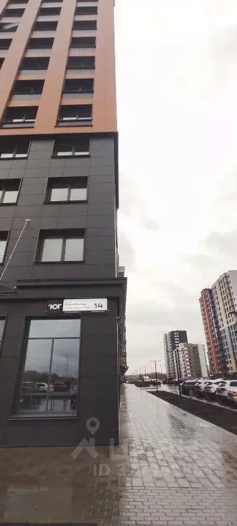 Помещение свободного назначения в Пермский край, Пермь ул. ... - Фото 1