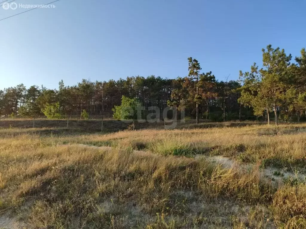 Участок в Бахчисарайский район, село Скалистое (1519 м) - Фото 1