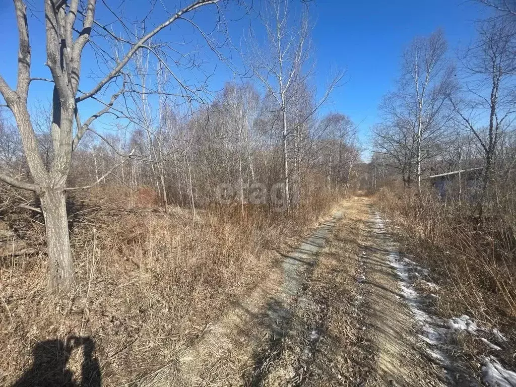 Участок в Приморский край, Надеждинский район, Аргус СНТ  (10.0 сот.) - Фото 0