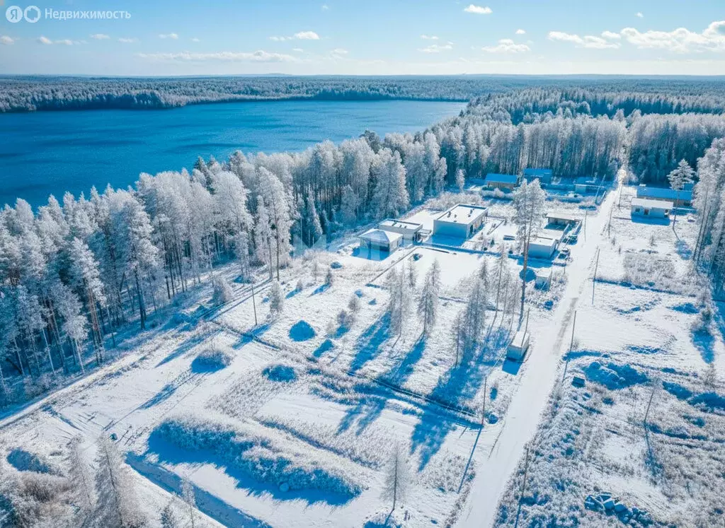 Участок в Пряжинский район, посёлок Чална (20 м) - Фото 1