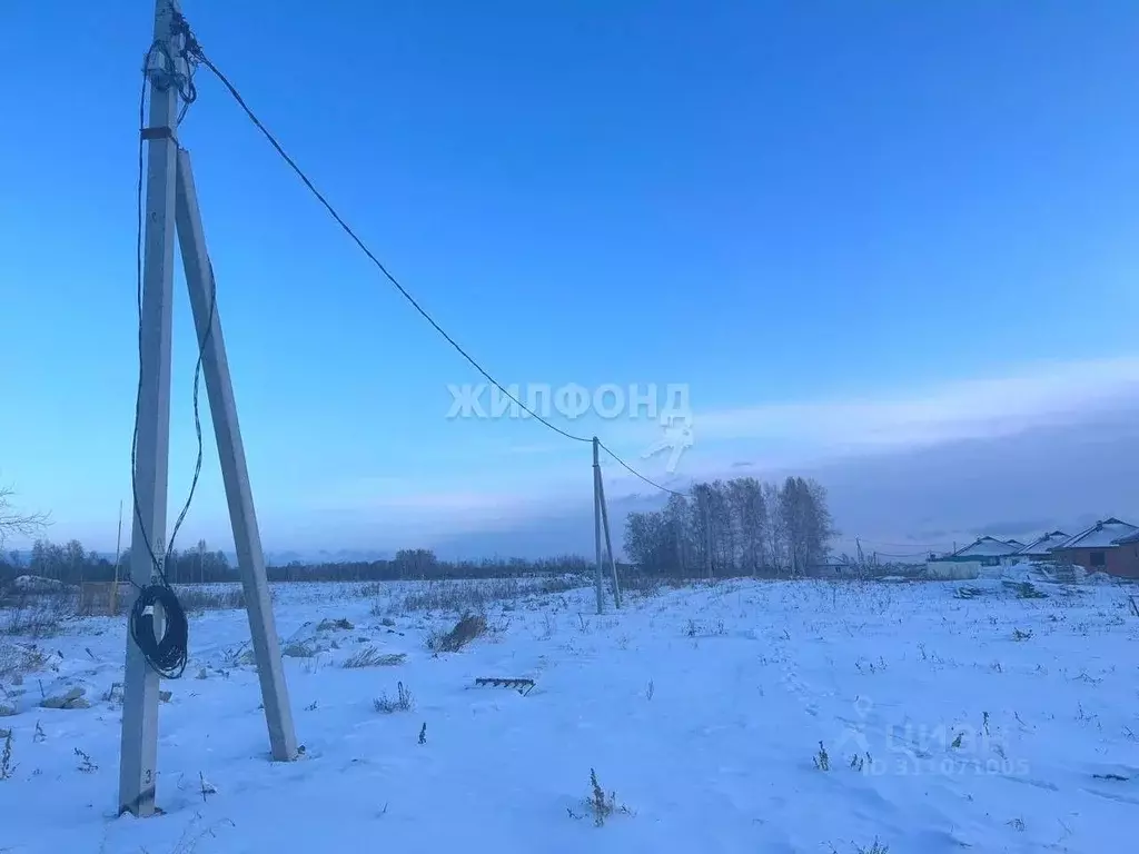 Участок в Новосибирская область, Новосибирский район, Морской ... - Фото 1