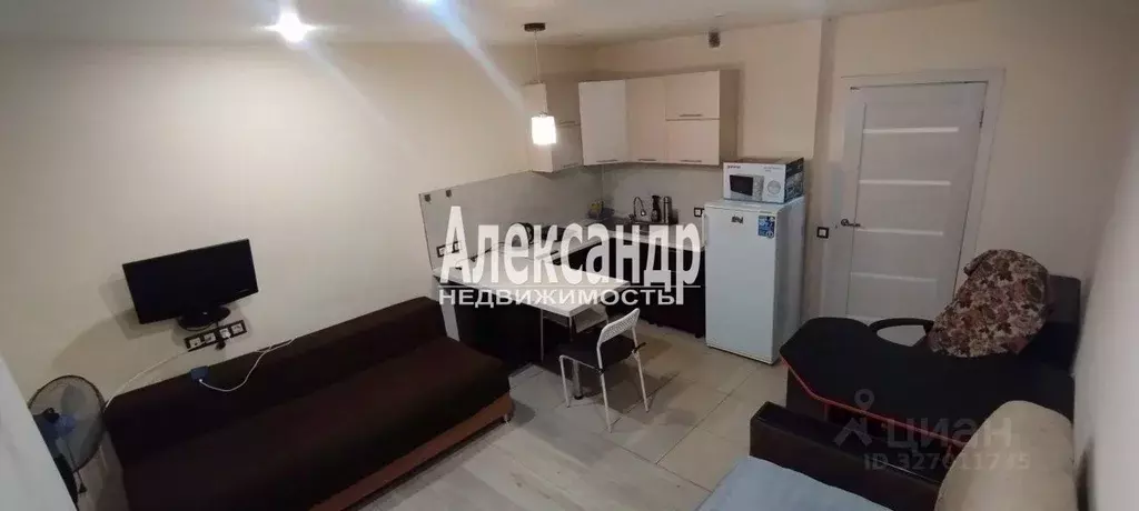 Студия Санкт-Петербург пос. Шушары, ул. Вишерская, 24 (25.0 м) - Фото 2