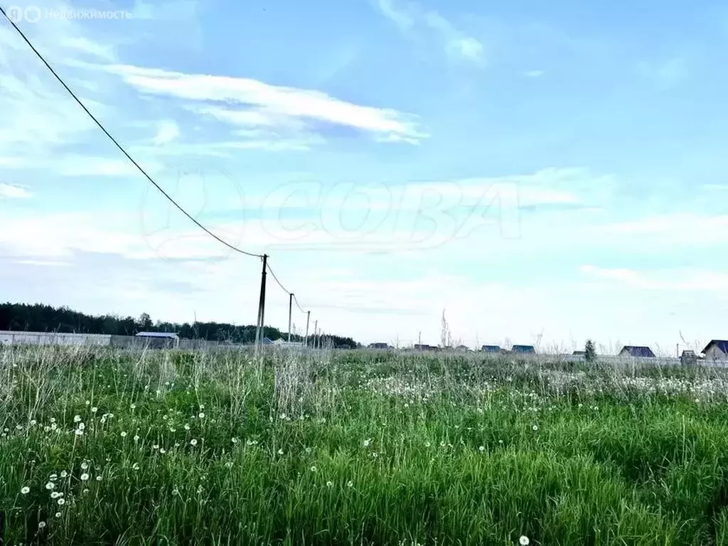 Участок в Тюменский район, село Борки (19.5 м) - Фото 1