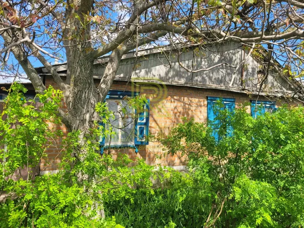 Дом в Ростовская область, Красный Сулин Октябрьская ул., 107 (33 м) - Фото 2