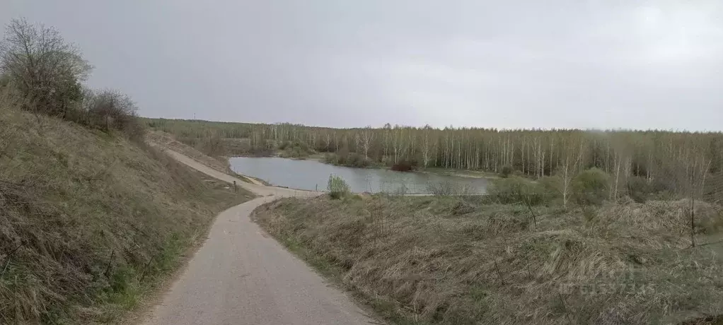 Участок в Нижегородская область, Дальнеконстантиновский муниципальный ... - Фото 1