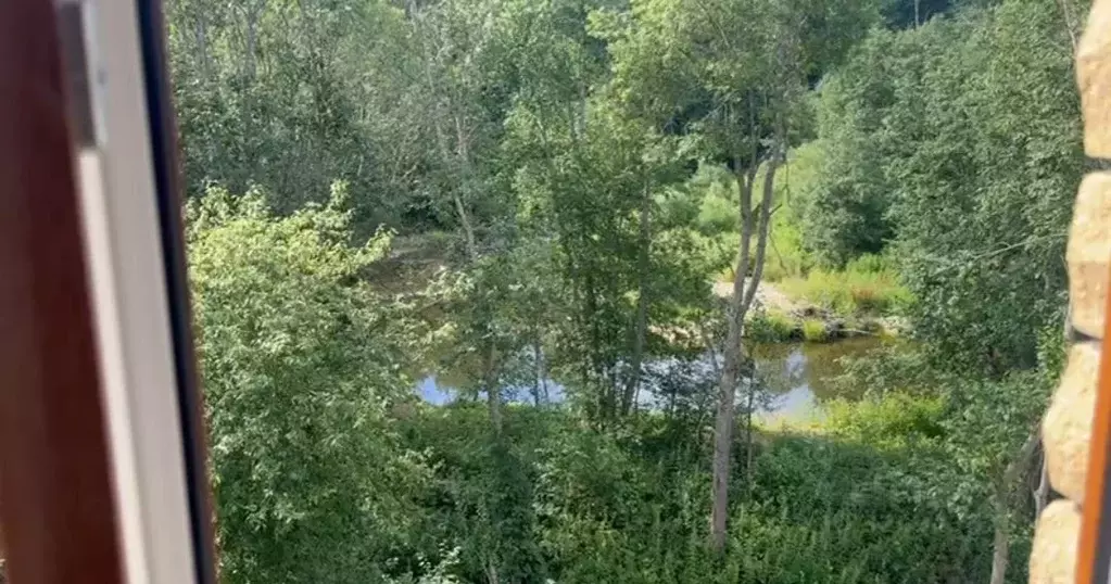 Дом в Тверская область, Старицкий муниципальный округ, д. Берново  ... - Фото 1