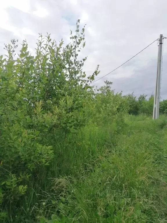 Участок в Нижегородская область, Бор городской округ, д. Каликино  ... - Фото 0