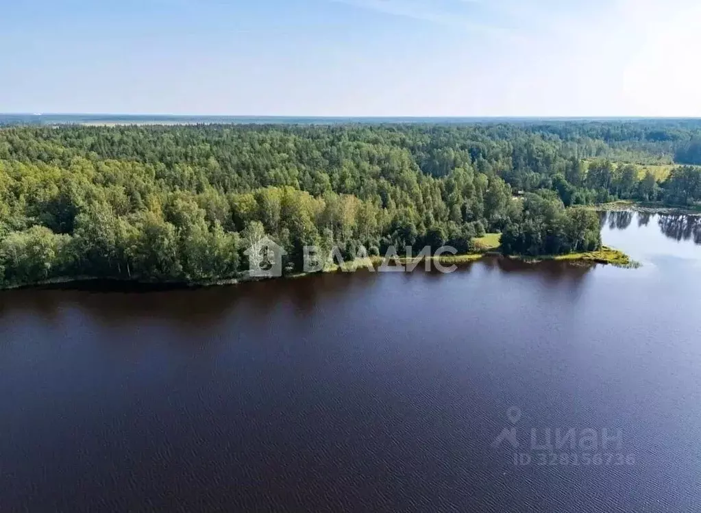 Участок в Ленинградская область, Всеволожский район, Куйвозовское ... - Фото 1