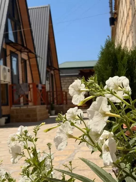 Дом в Дагестан, Дербент ул. Прибрежная, 41 (30 м) - Фото 2