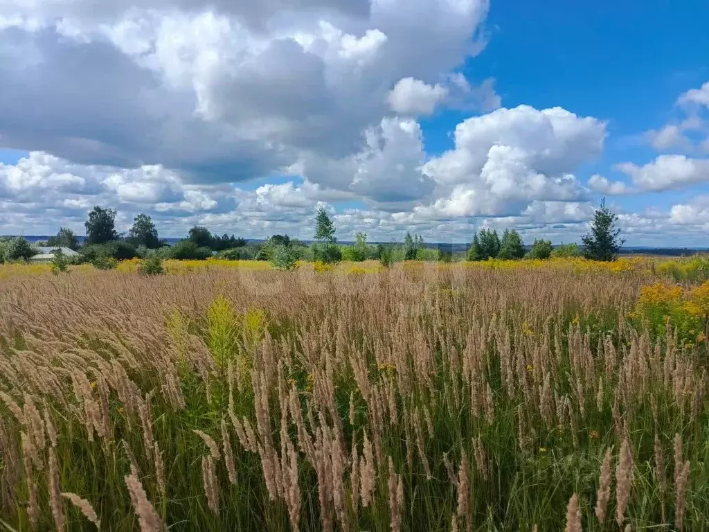 Участок в Тульская область, Тула городской округ, с. Федоровка  (15.0 ... - Фото 1
