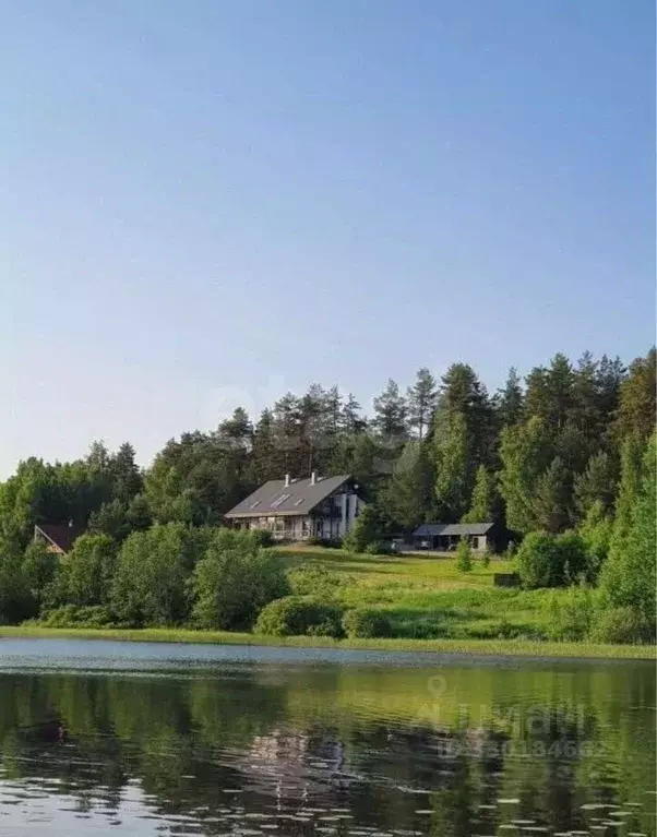 Участок в Ленинградская область, Выборгский район, Каменногорское ... - Фото 1