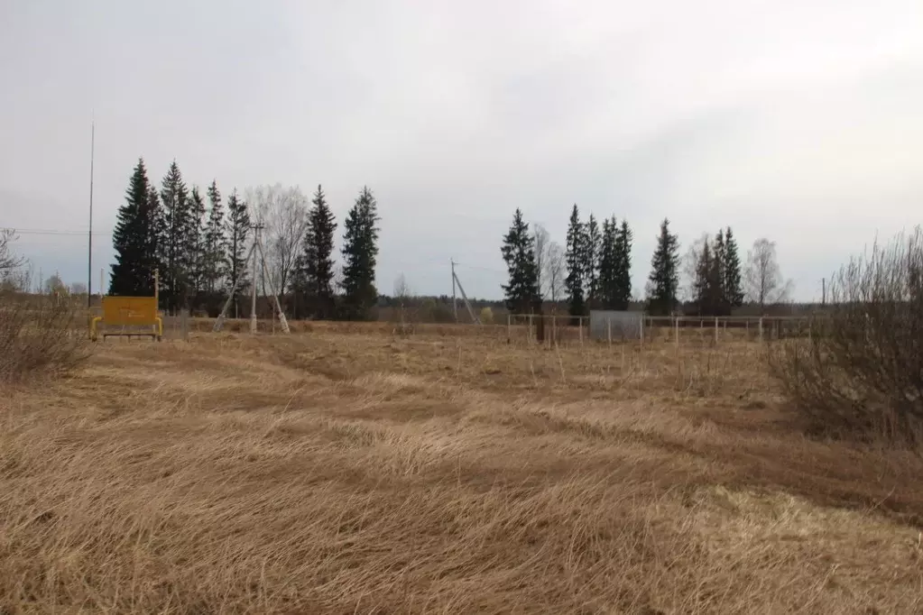 Участок в Московская область, Шаховская муниципальный округ, д. Паново ... - Фото 2