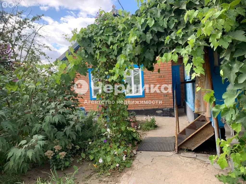 Дом в Красновка, Профильная улица, 132А (48 м) - Фото 0