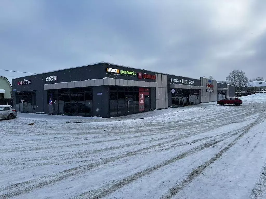 Торговая площадь в Московская область, Истра муниципальный округ, д. ... - Фото 1