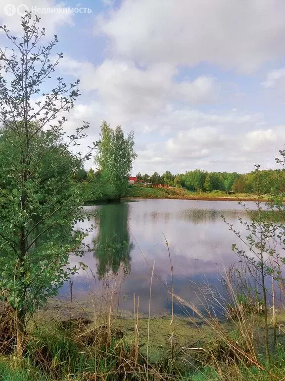 Участок в Московская область, городской округ Коломна, посёлок ... - Фото 2