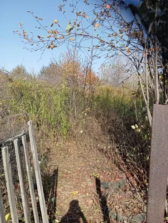 Участок в Алтайский край, Бийск Армейский СНТ, ул. 8-я (10.0 сот.) - Фото 2