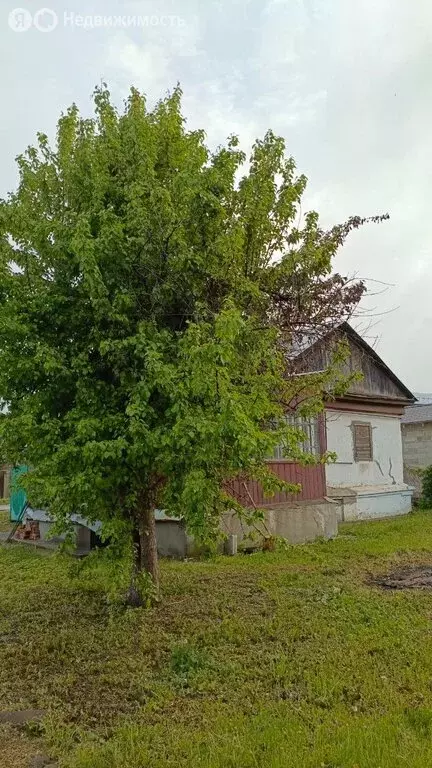 Дом в Тула, Роговский переулок, 30 (44 м) - Фото 0