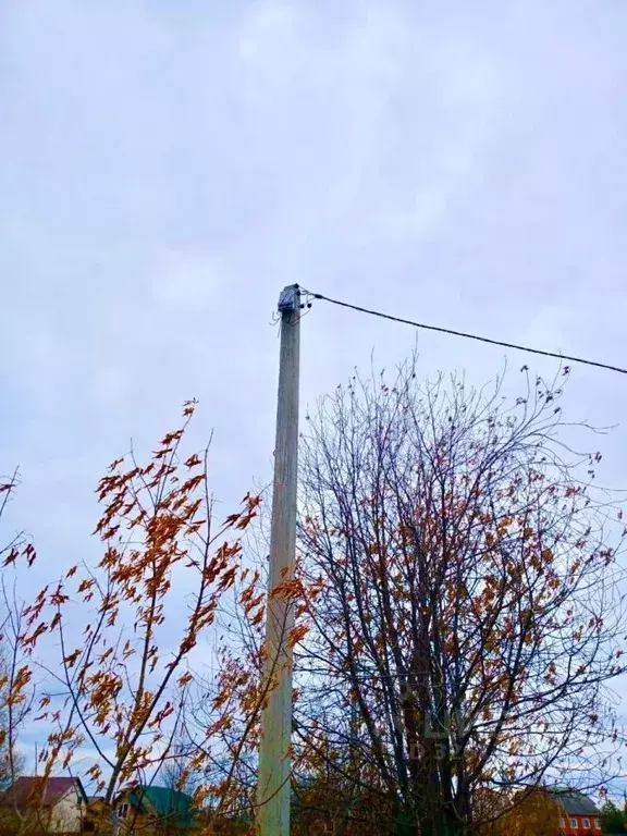 Участок в Томская область, Томск с. Дзержинское, ул. Сосновая (11.0 ... - Фото 2