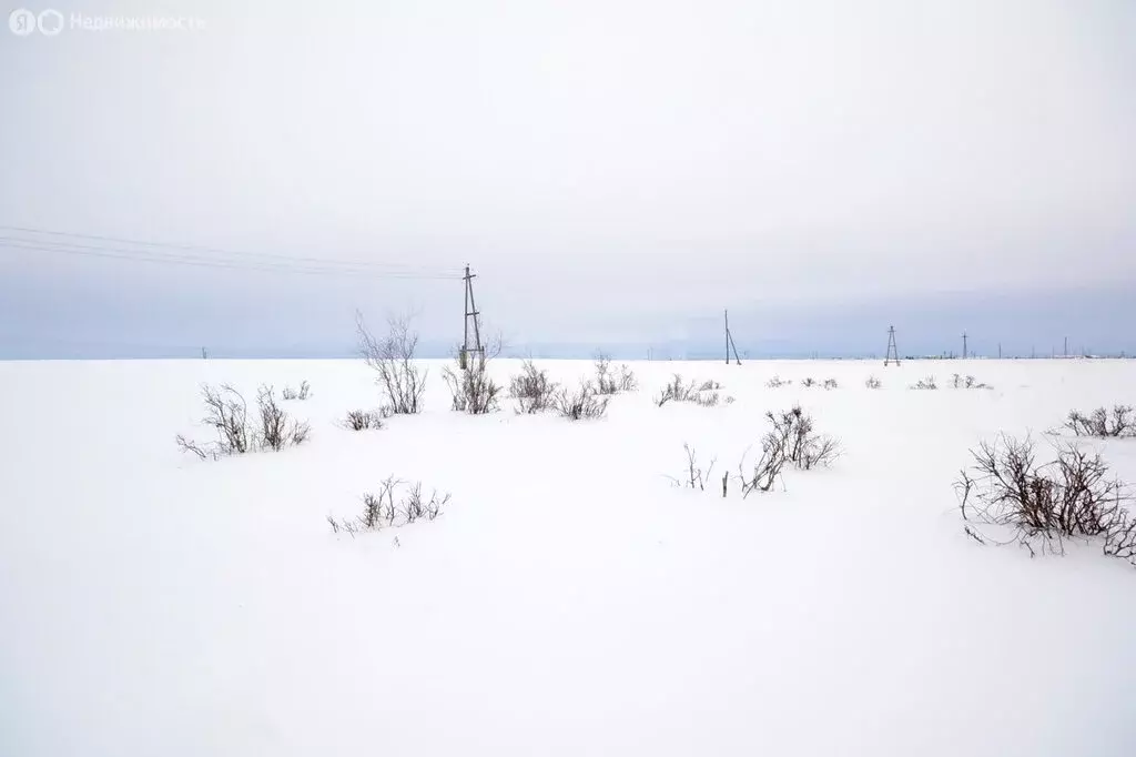 Участок в Республика Саха (Якутия), городской округ Якутск, село ... - Фото 2