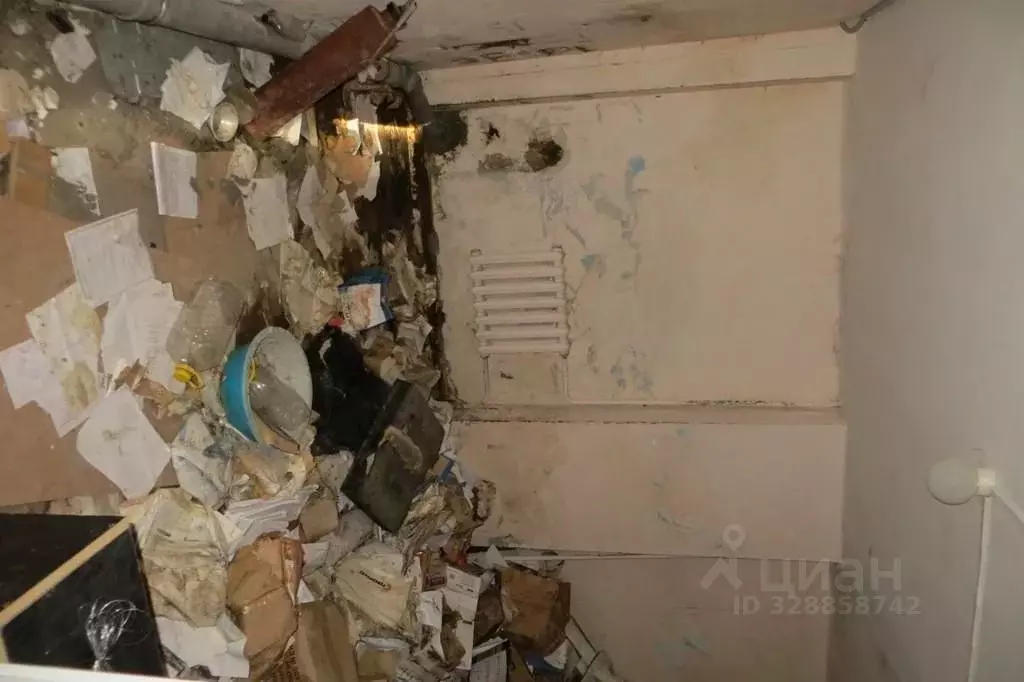 Помещение свободного назначения в Ростовская область, Таганрог ул. ... - Фото 1