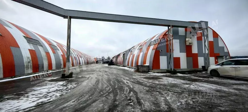 Склад в Московская область, Пушкинский городской округ, д. Алешино с11 ... - Фото 2