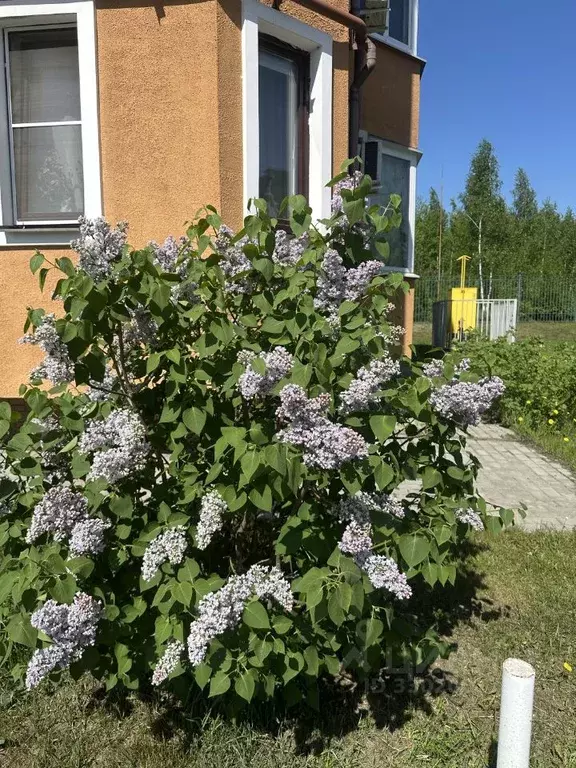 Студия Московская область, Богородский городской округ, пос. Рыбхоз, ... - Фото 2