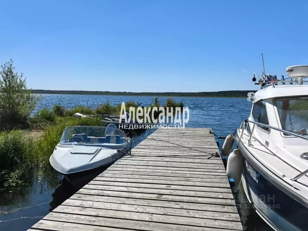 Участок в Карелия, Питкярантский муниципальный округ, Урочище Пелля ... - Фото 2