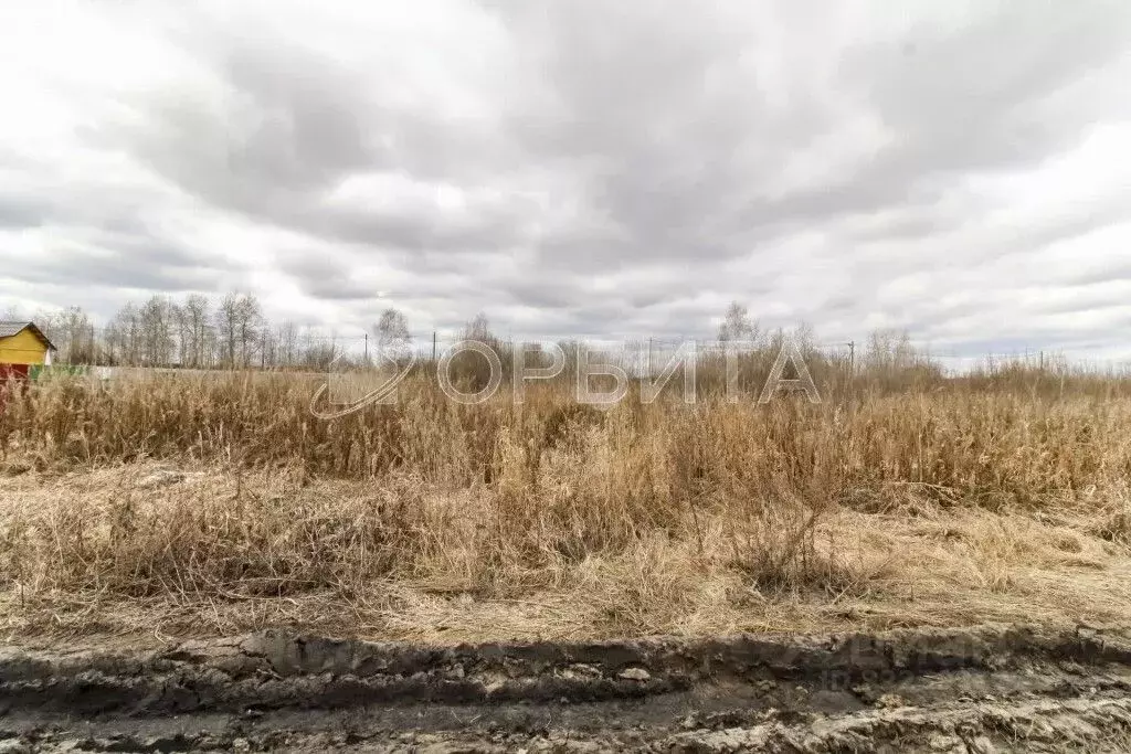 Участок в Тюменская область, Тюмень Большое Царево-1 СНТ,  (10.0 сот.) - Фото 1