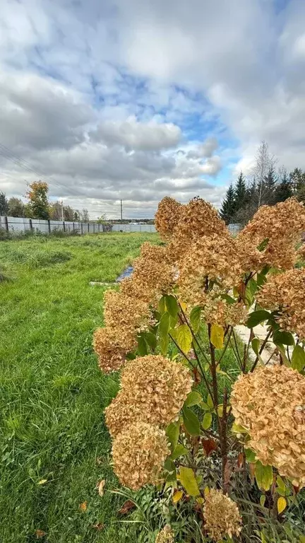Участок в Москва д. Кузнецово, ул. Песочная (10.0 сот.) - Фото 2