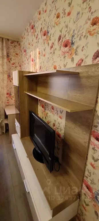 1-к кв. Санкт-Петербург пос. Парголово, ул. Валерия Гаврилина, 13к1 ... - Фото 2