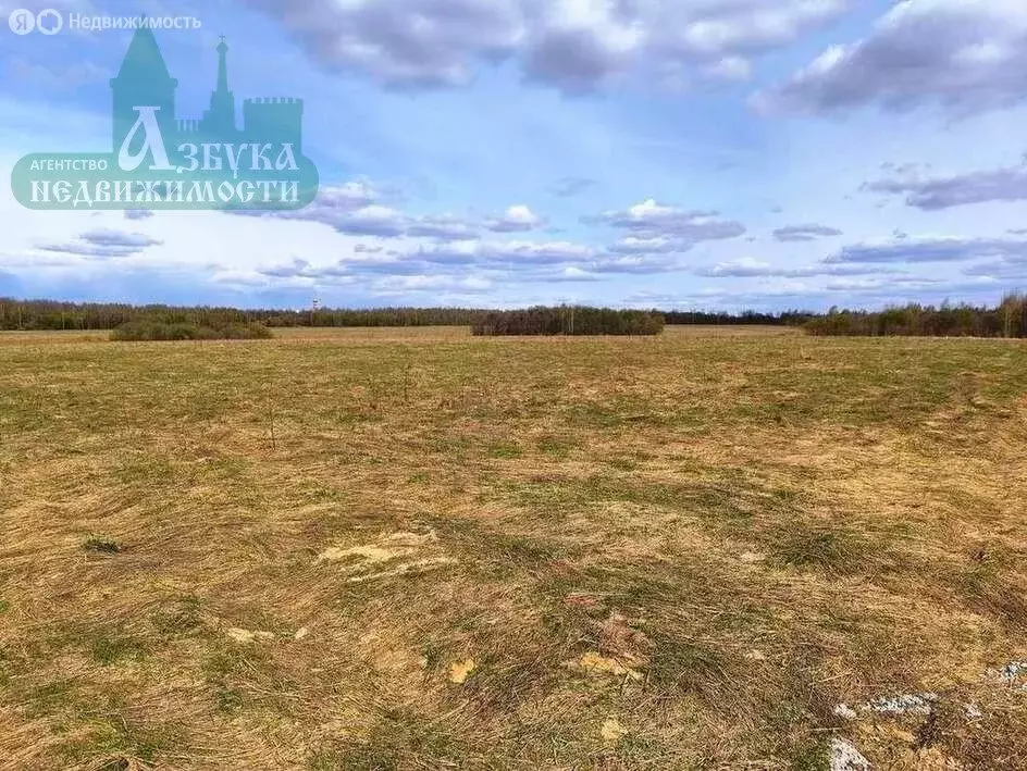 Участок в деревня Купники, Берёзовая улица (13 м) - Фото 1