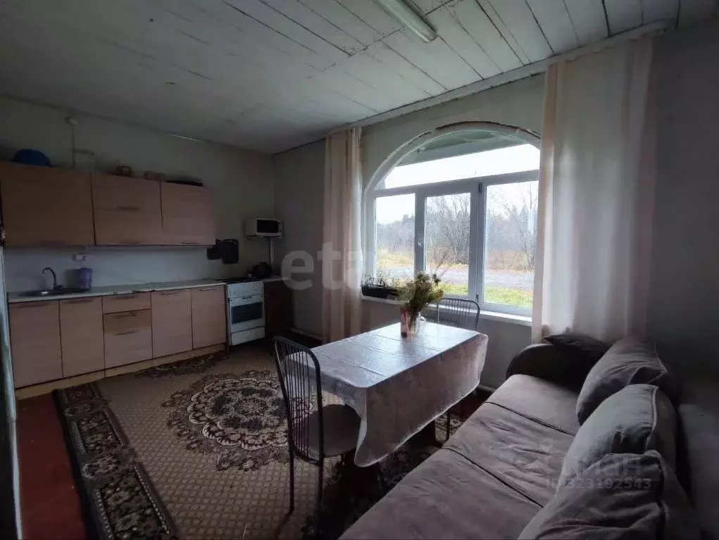 Дом в Пермский край, Чернушинский муниципальный округ, с. Деменево ул. ... - Фото 1