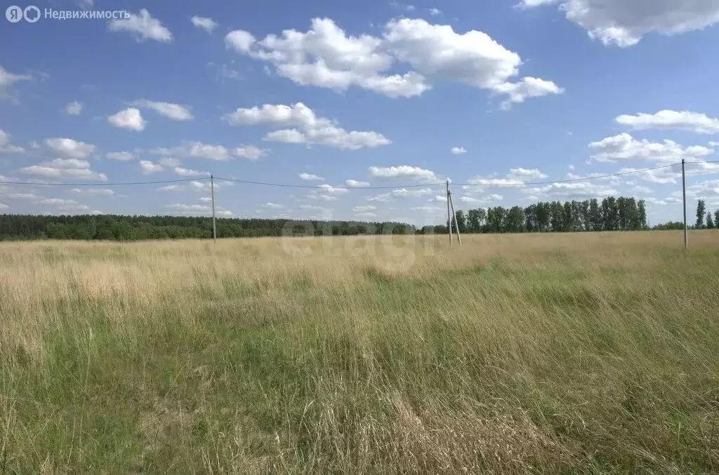 Участок в Тукаевский район, село Калмаш (6 м) - Фото 1