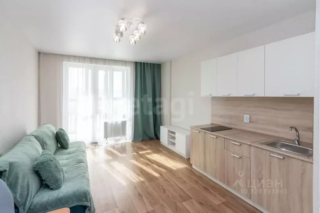 Студия Тюменская область, Тюмень Интернациональная ул., 197А (29.4 м) - Фото 2