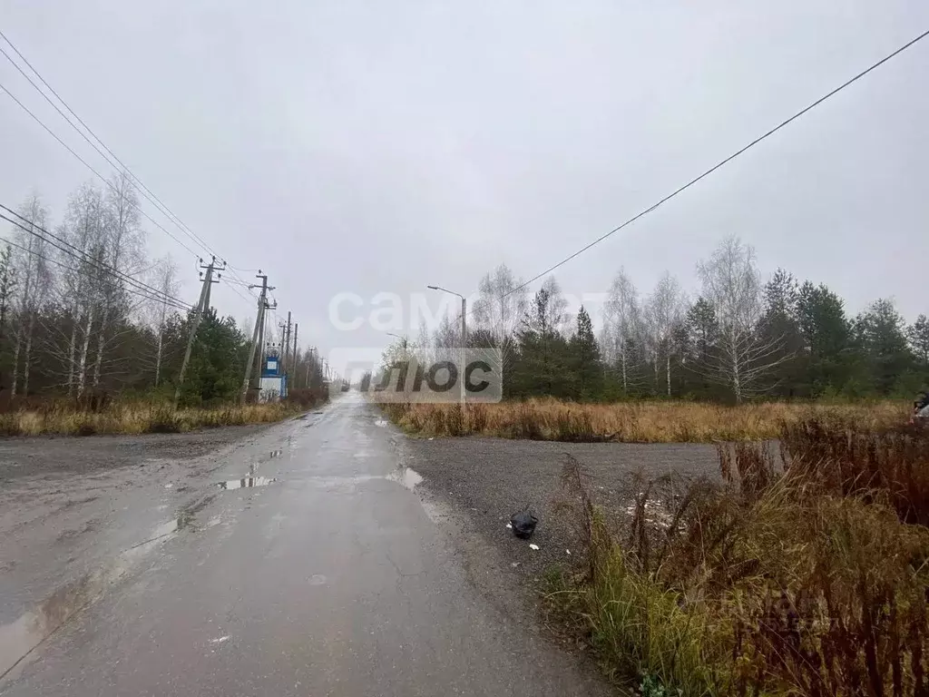 Участок в Липецкая область, Липецк Желтые пески СНТ, 369 (12.0 сот.) - Фото 1