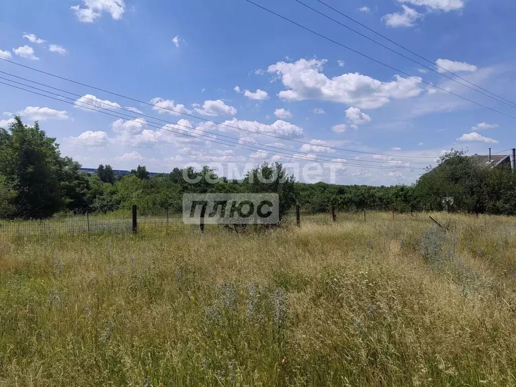Участок в Воронежская область, Новоусманский район, с. Рогачевка ул. ... - Фото 1