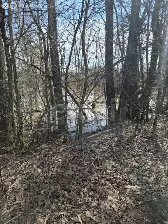 Участок в Иглинский район, Ивано-Казанский сельсовет, деревня Асканыш ... - Фото 2