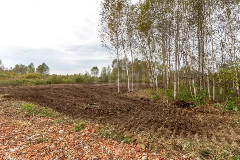 Участок в Тюменская область, Нижнетавдинский муниципальный округ, ... - Фото 1