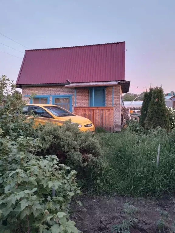 Дом в Новосибирская область, Новосибирск Береговое СНТ,  (46 м) - Фото 2