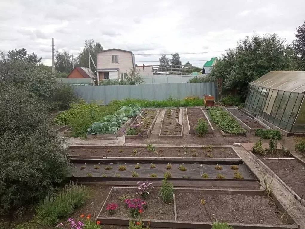 Дом в Тюменская область, Тюмень СОСН Ландыш тер., ул. Лесная (50 м) - Фото 1