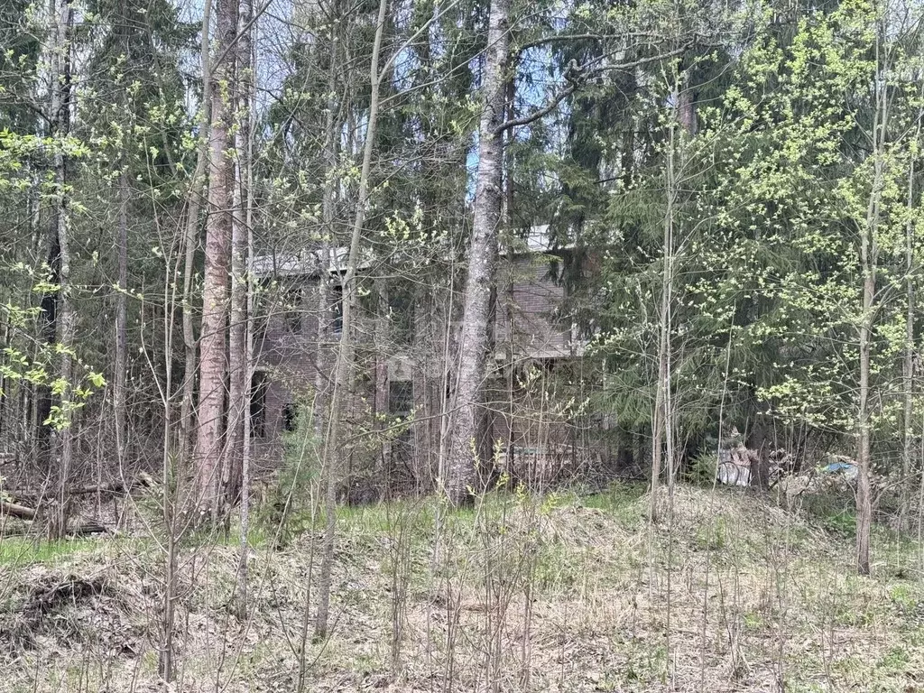 Участок в Московская область, Пушкинский городской округ, Софрино пгт, ... - Фото 0