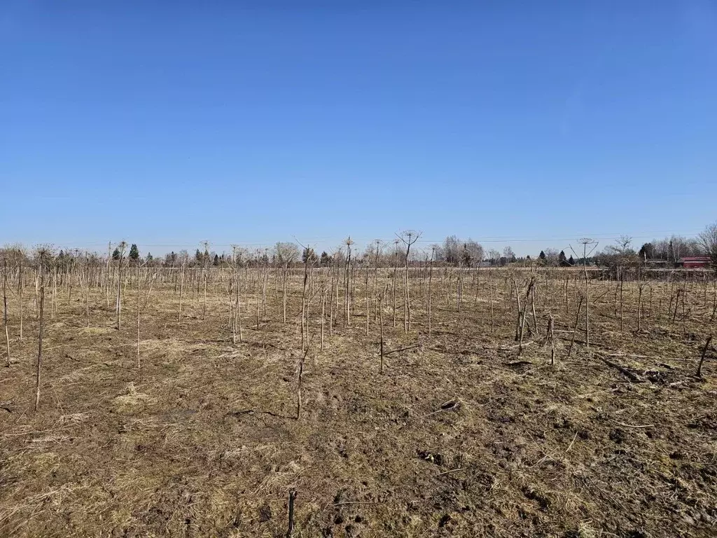 Участок в Московская область, Рузский муниципальный округ, д. Федчино  ... - Фото 2