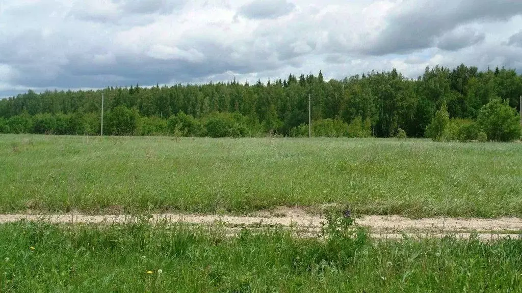 Участок в Калужская область, Калуга городской округ, д. Колюпаново  ... - Фото 0